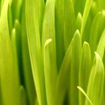 ddos攻击ip软件下载